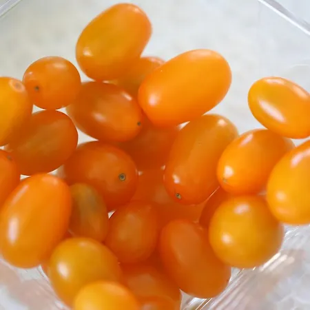 Hotel Castello Tafuri 4*